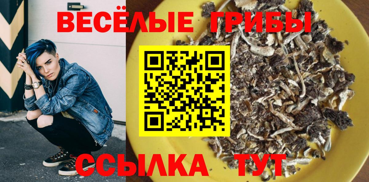 Псилоцибиновые грибы мицелий  Псилоцибиновые грибы MAGIC MUSHROOMS  Сочи  Вход с VPN 