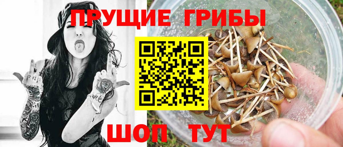 Галлюциногенные грибы ЛСД Сочи